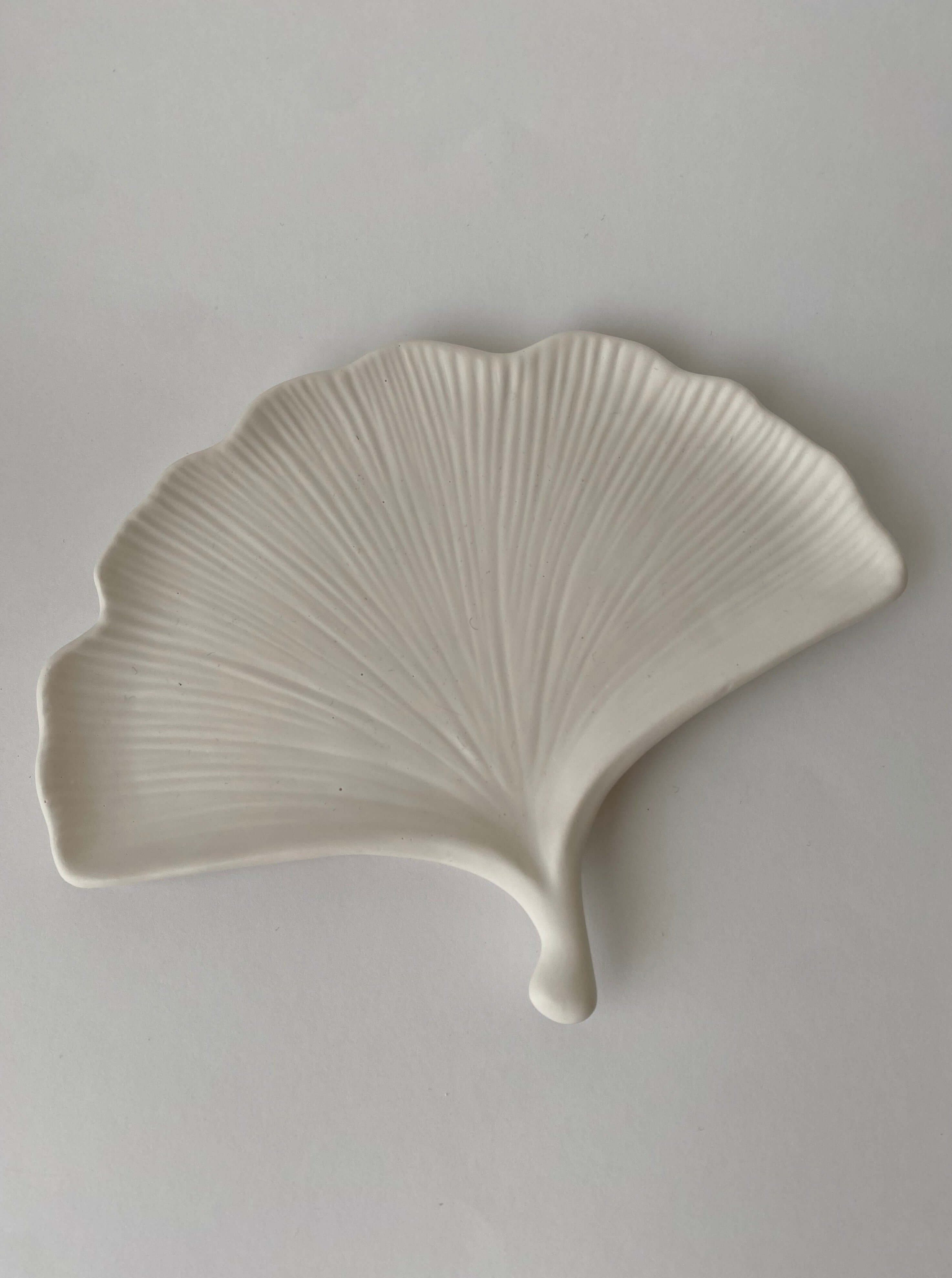 Ginkgo biloba Tray White