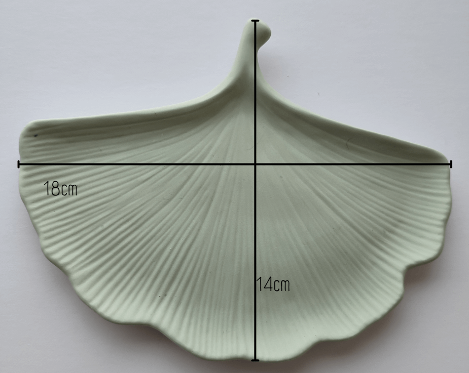 Ginkgo biloba Tray Green Size Chart