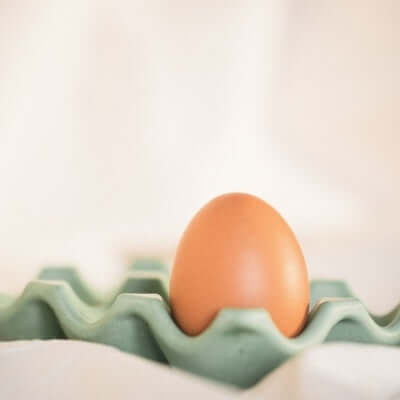 Egg Tray Green