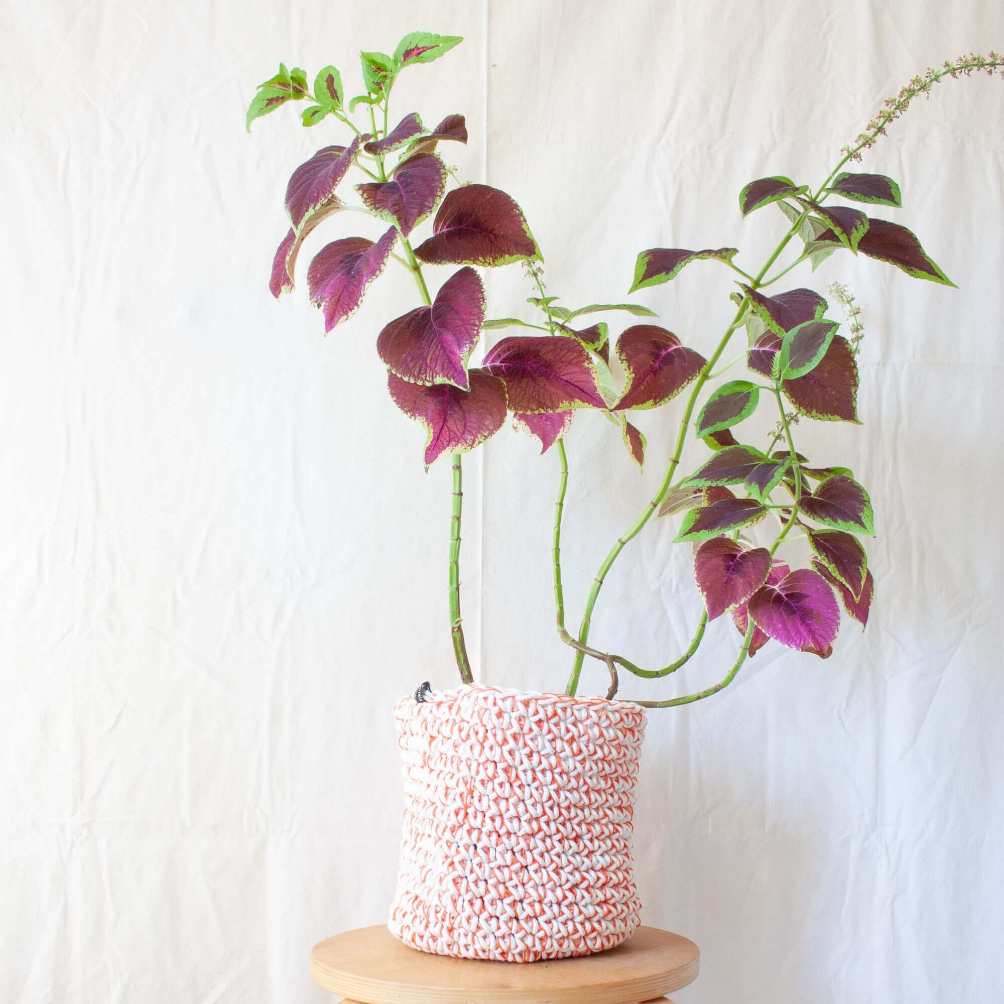 Colorful Crochet Planter - Orange Mix